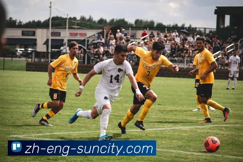 太阳城官网平台生态图